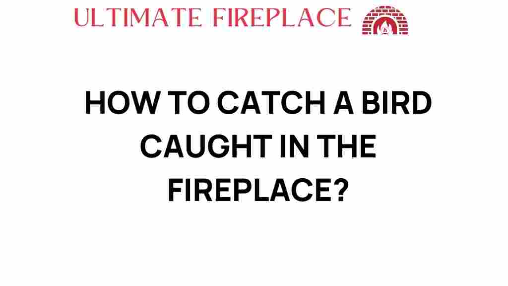 how-to-catch-bird-fireplace