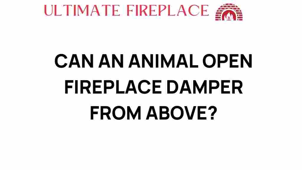 can-an-animal-open-fireplace-damper-from-above