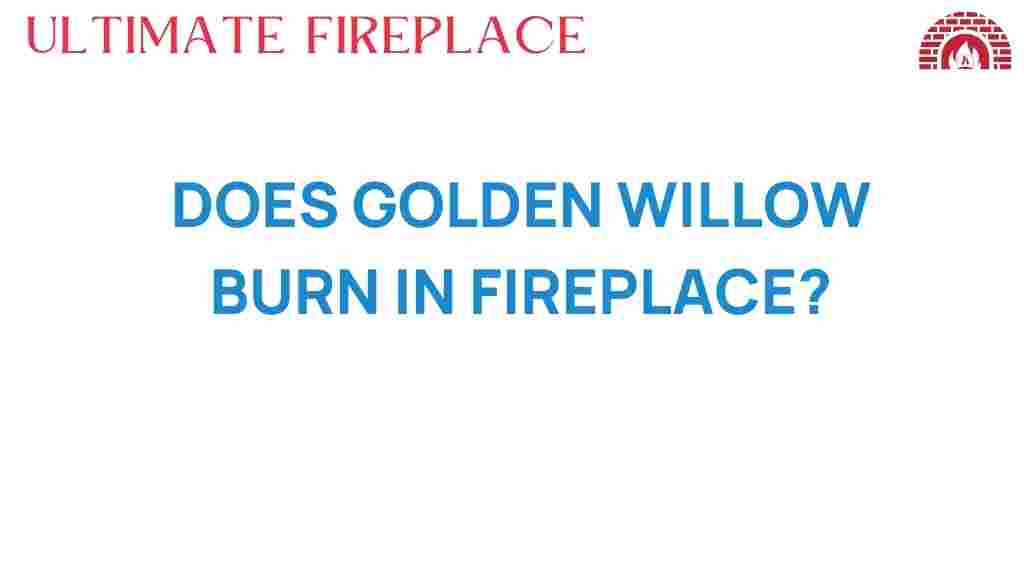 golden-willow-burn-fireplace
