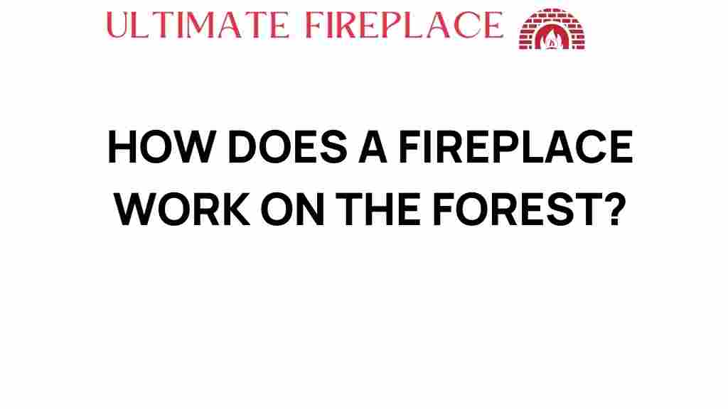 how-does-a-fireplace-work-in-the-forest