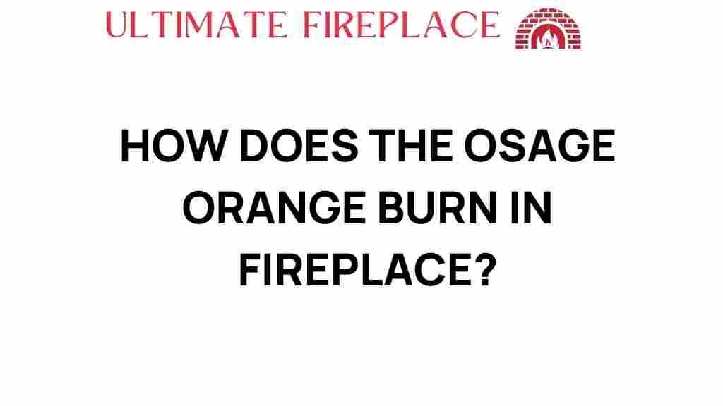 osage-orange-burn-fireplace
